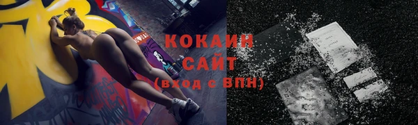 крисы Абаза