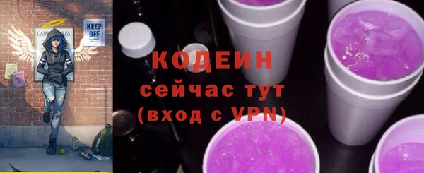крисы Абаза