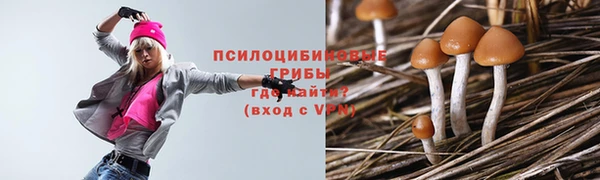 крисы Абаза