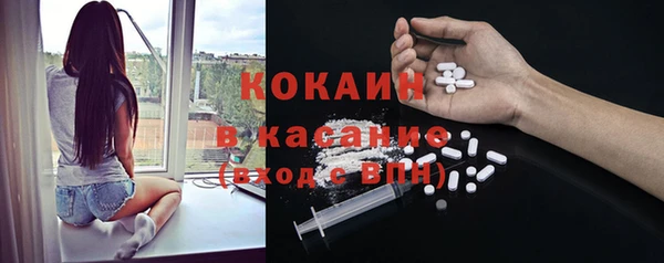 крисы Абаза