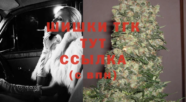 крисы Абаза
