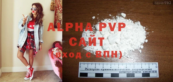 крисы Абаза