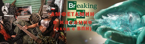 крисы Абаза