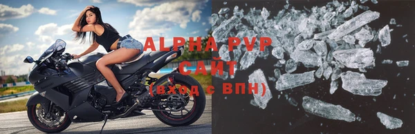 крисы Абаза