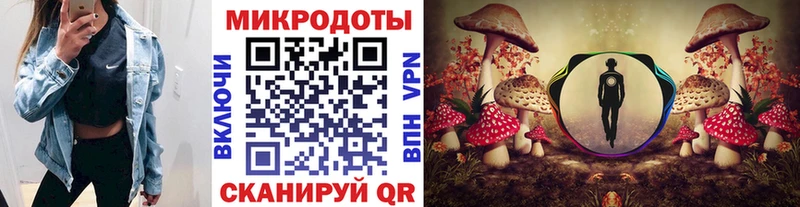 Псилоцибиновые грибы мицелий  закладка  Костомукша 
